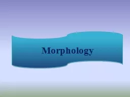 Morphology A branch of linguistics that is concerned with the questions regarding ‘Word Structure