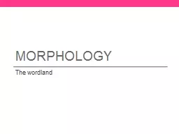 Morphology The   wordland