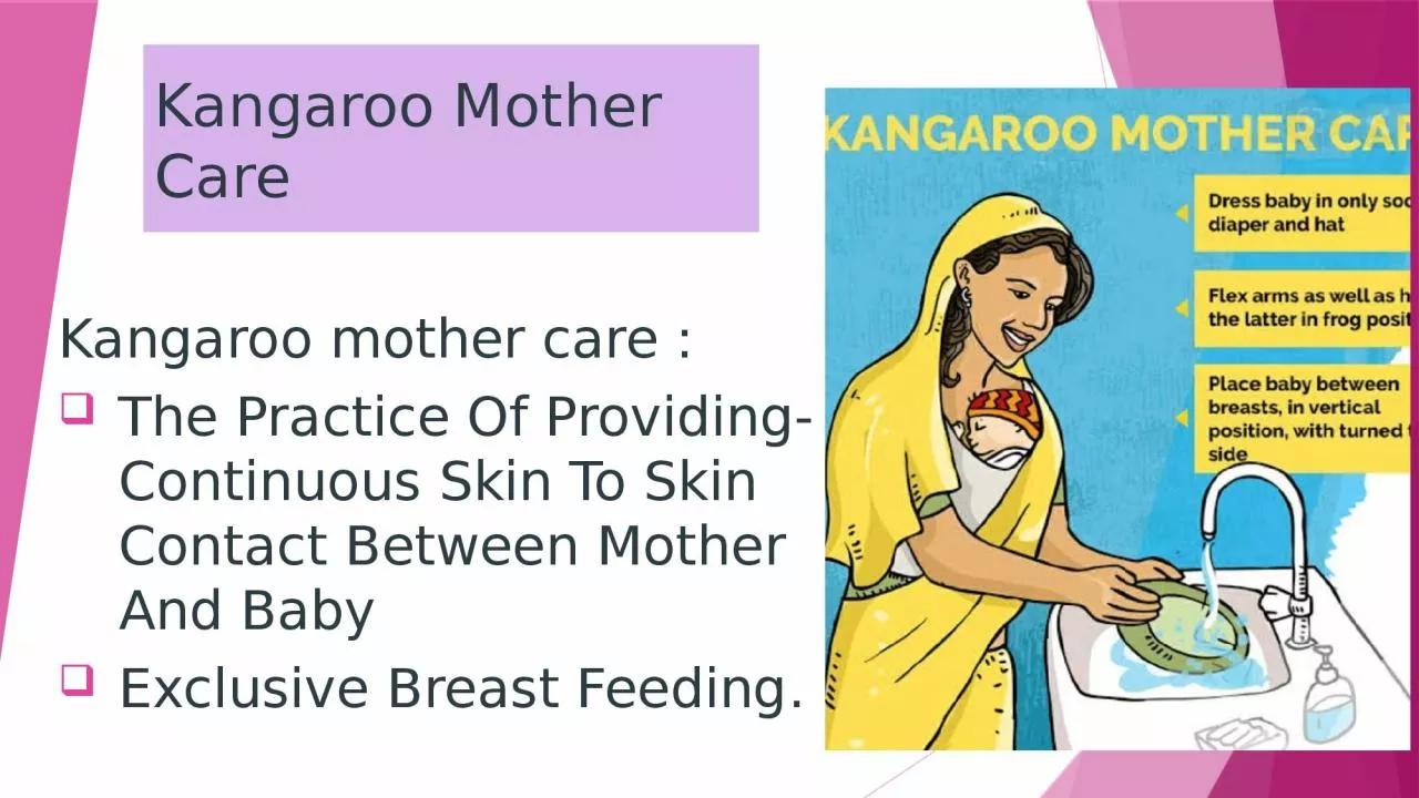 PPT-Kangaroo Mother Care Kangaroo mother care :