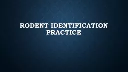 PPT-Rodent Identification Practice