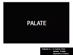 PALATE Presented by :-  Dr.