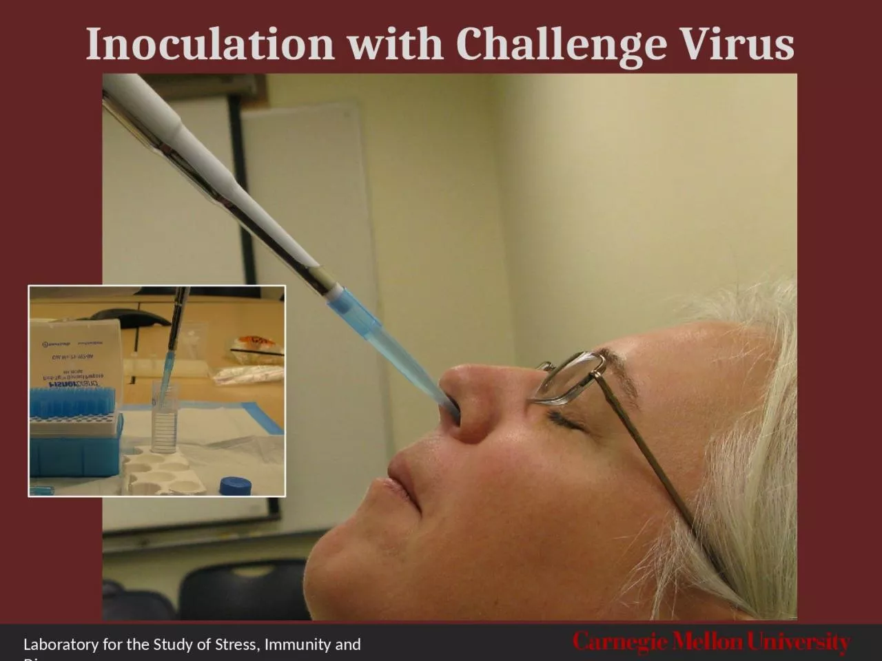 PPT-Inoculation with Challenge Virus