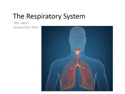 The Respiratory System Mrs. Legro’s 