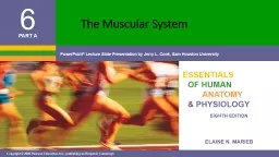 The Muscular System Function of Muscles