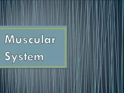 PPT-Muscular System Introduction: