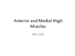 Anterior and Medial thigh Muscles