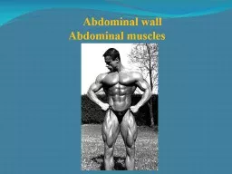 Abdominal   wall Abdominal