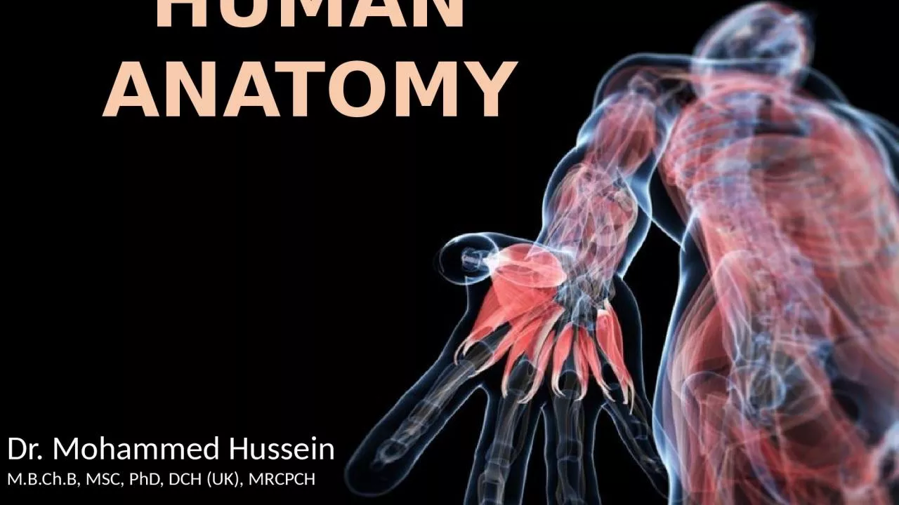 PPT-HUMAN ANATOMY Dr. Mohammed Hussein