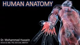 HUMAN ANATOMY Dr. Mohammed Hussein