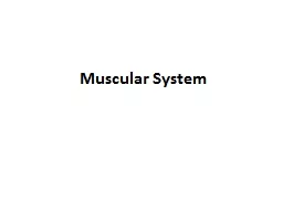 Muscular System Types of Muscles