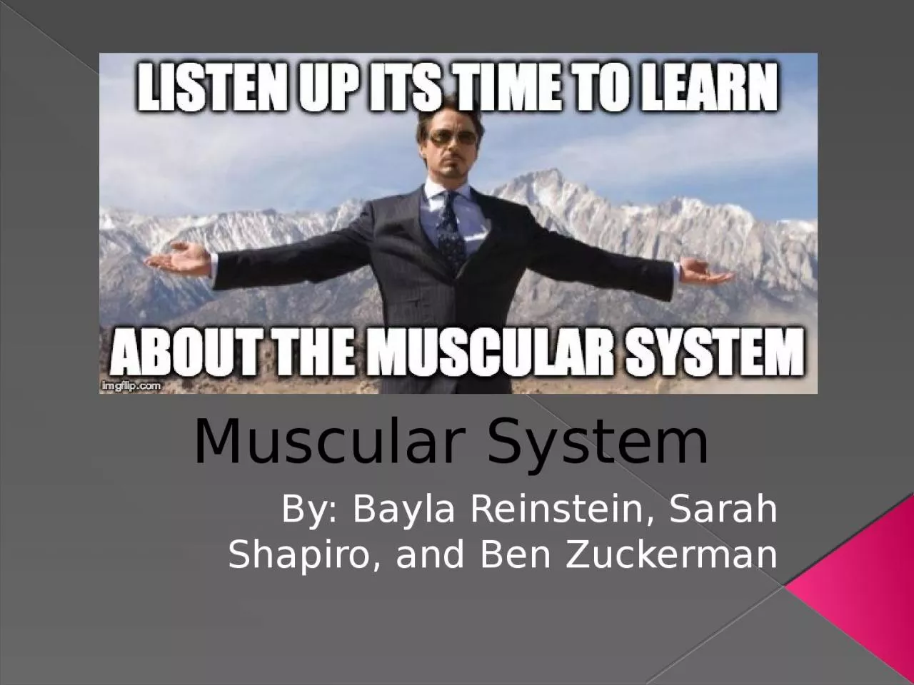 PPT-By: Bayla Reinstein, Sarah Shapiro, and Ben Zuckerman