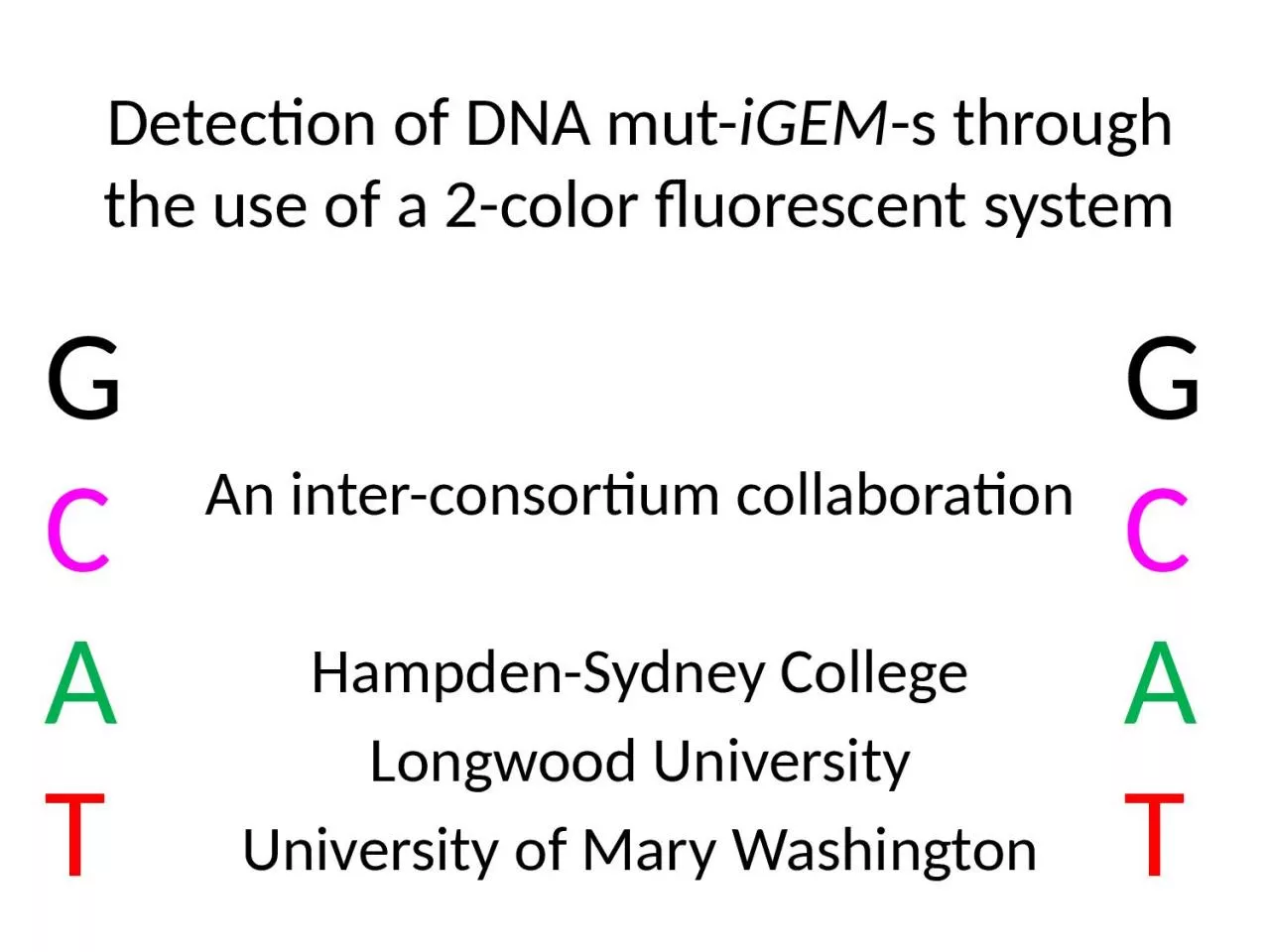 PPT-Detection of DNA mut - iGEM