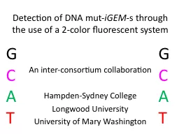 Detection of DNA  mut - iGEM