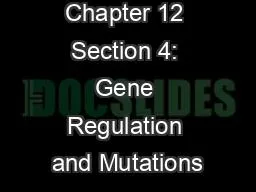 Chapter 12 Section 4: Gene Regulation and Mutations