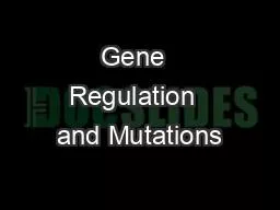 Gene  Regulation  and Mutations