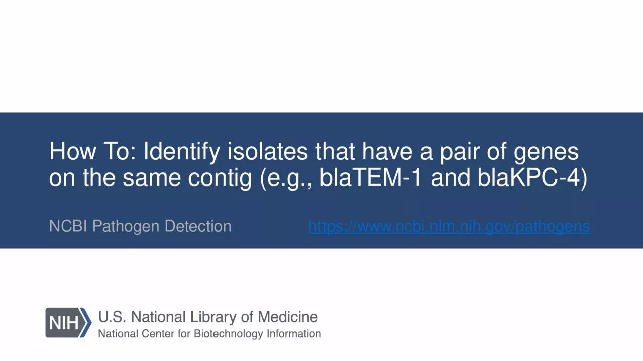 PPT-How To: Identify isolates that have a pair of genes on the same contig (e.g., blaTEM-1