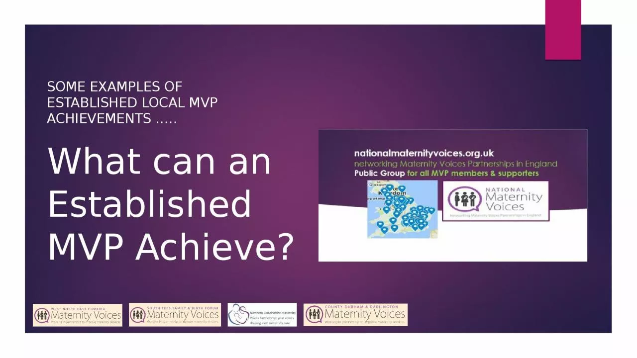 PPT-What can an Established MVP Achieve?