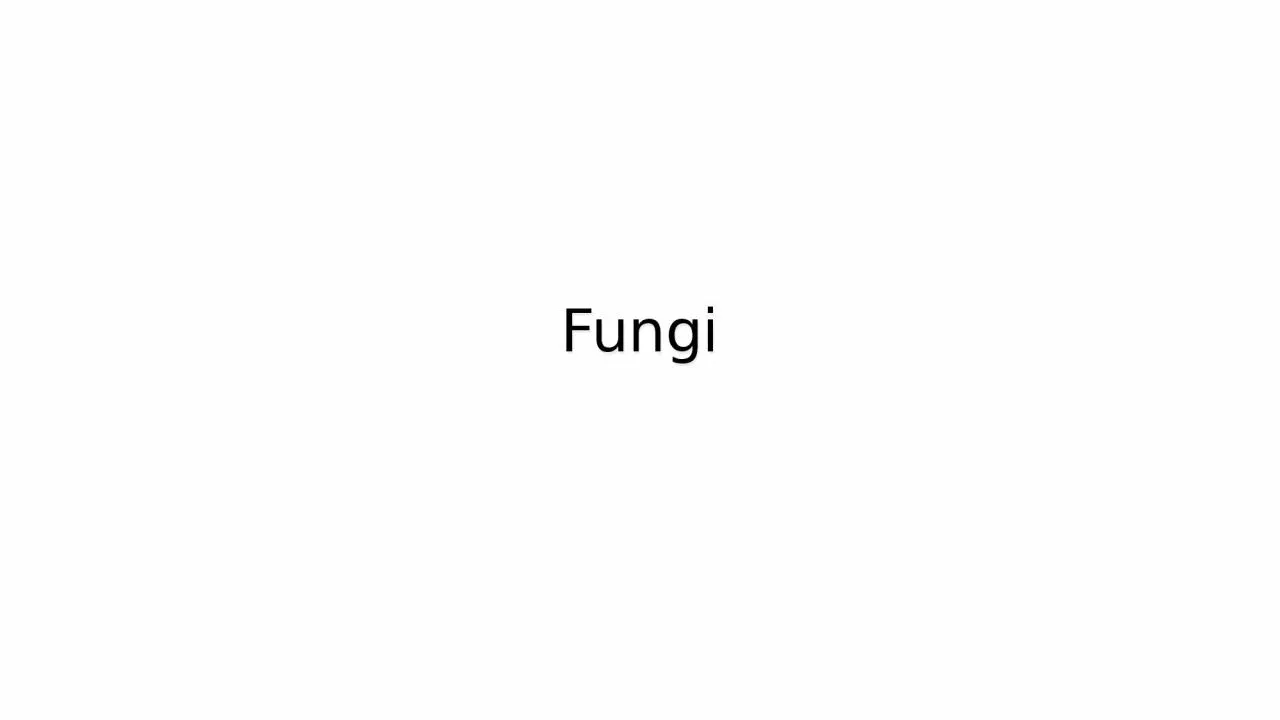 PPT-Fungi General Characteristics