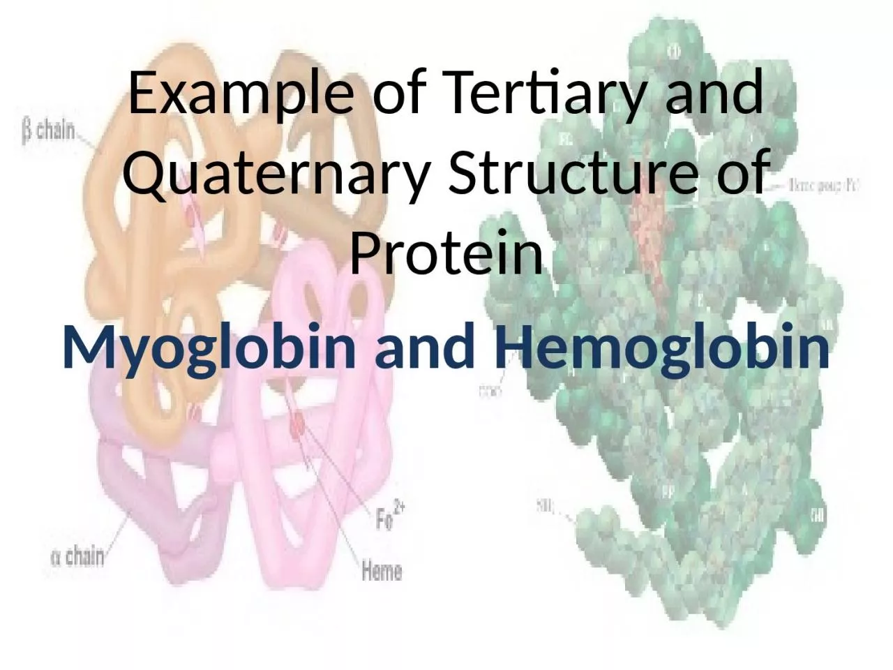 Example of Tertiary and Quaternary Structure of Protein