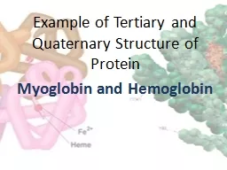 Example of Tertiary and Quaternary Structure of Protein
