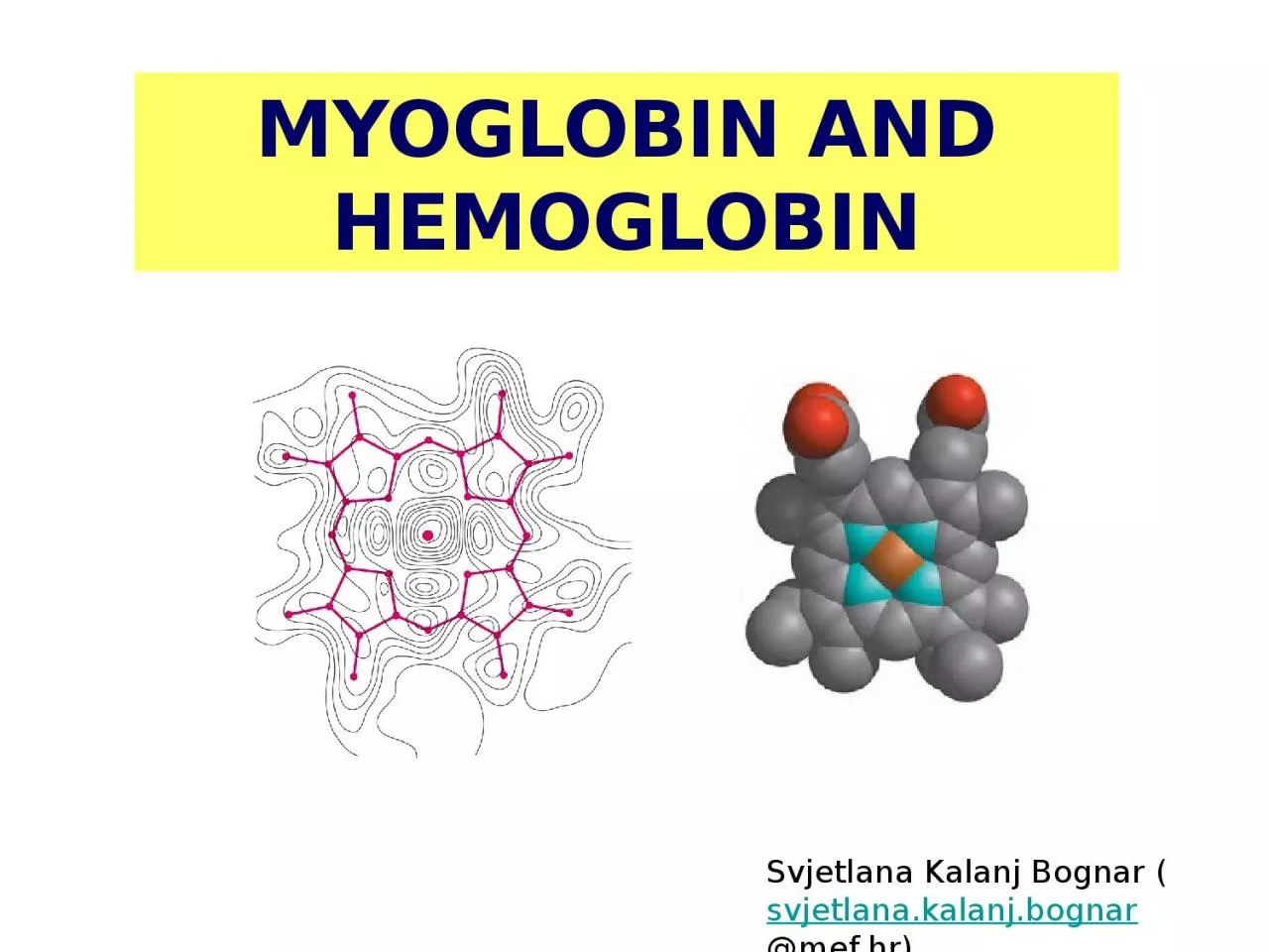 MYOGLOBIN AND HEMOGLOBIN