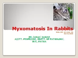 Myxomatosis  In Rabbits MVSc