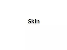 Skin  Dermis Dermis is the connective tissue which support the epidermis, and bind it