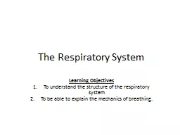 The Respiratory System Learning Objectives