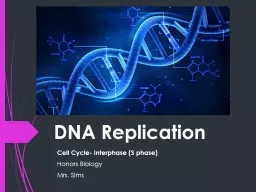 DNA Replication Cell Cycle- Interphase (S phase)