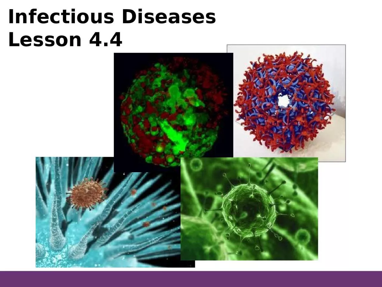 Infectious Diseases Lesson