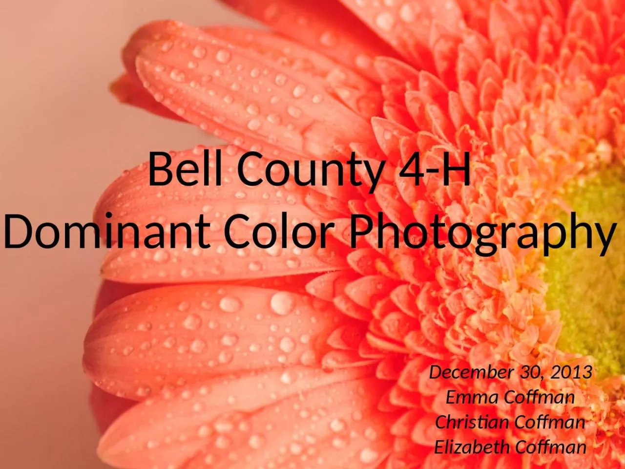 Bell County 4-H Dominant Color Photography
