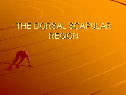 THE DORSAL SCAPULAR REGION