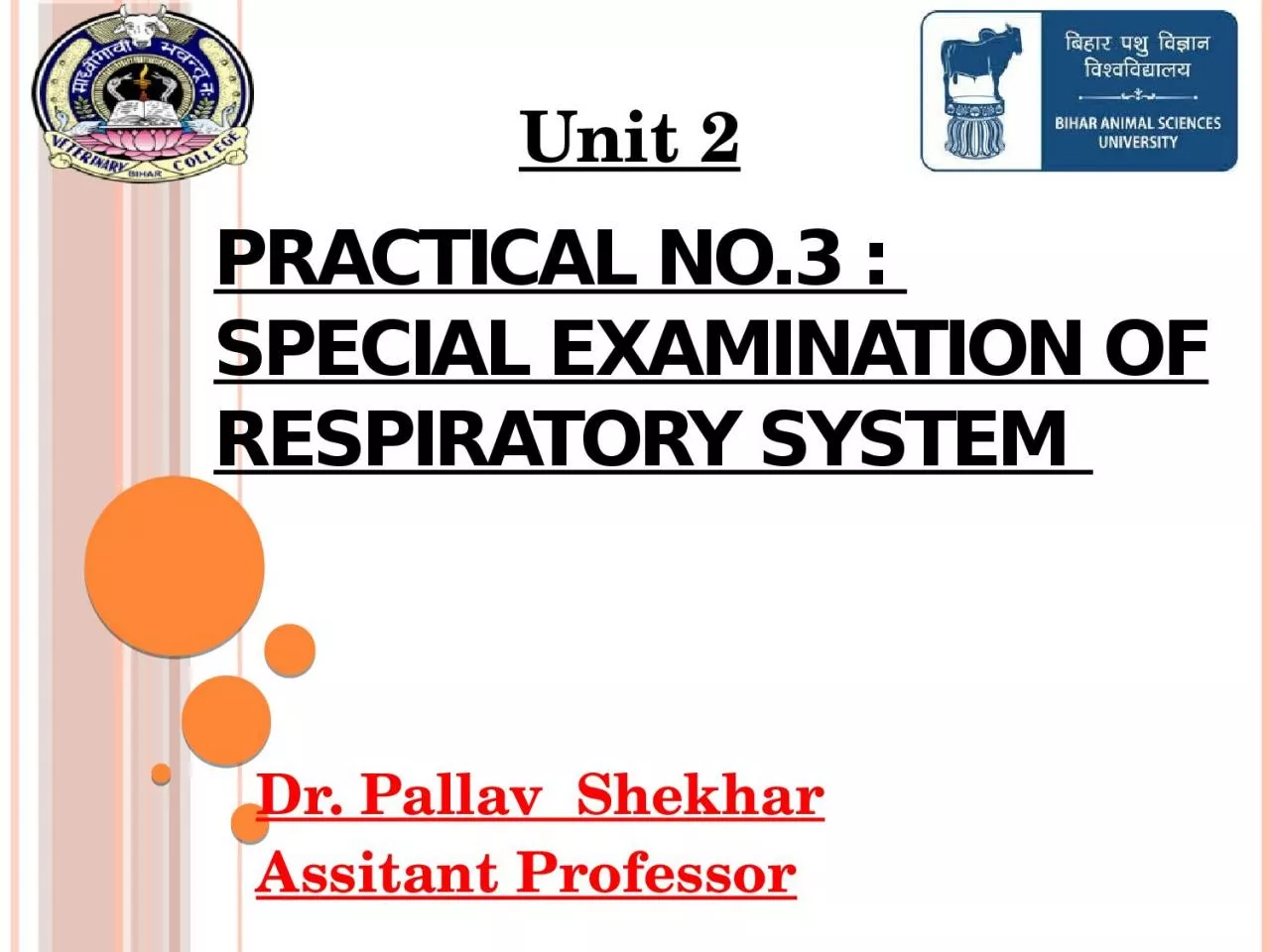 Practical No.3 :  Special examination of Respiratory system
