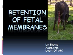 Retention of fetal Membranes