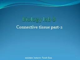 Biology lab 8 Connective tissue part-2