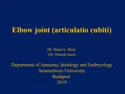 Elbow   joint  ( articulatio