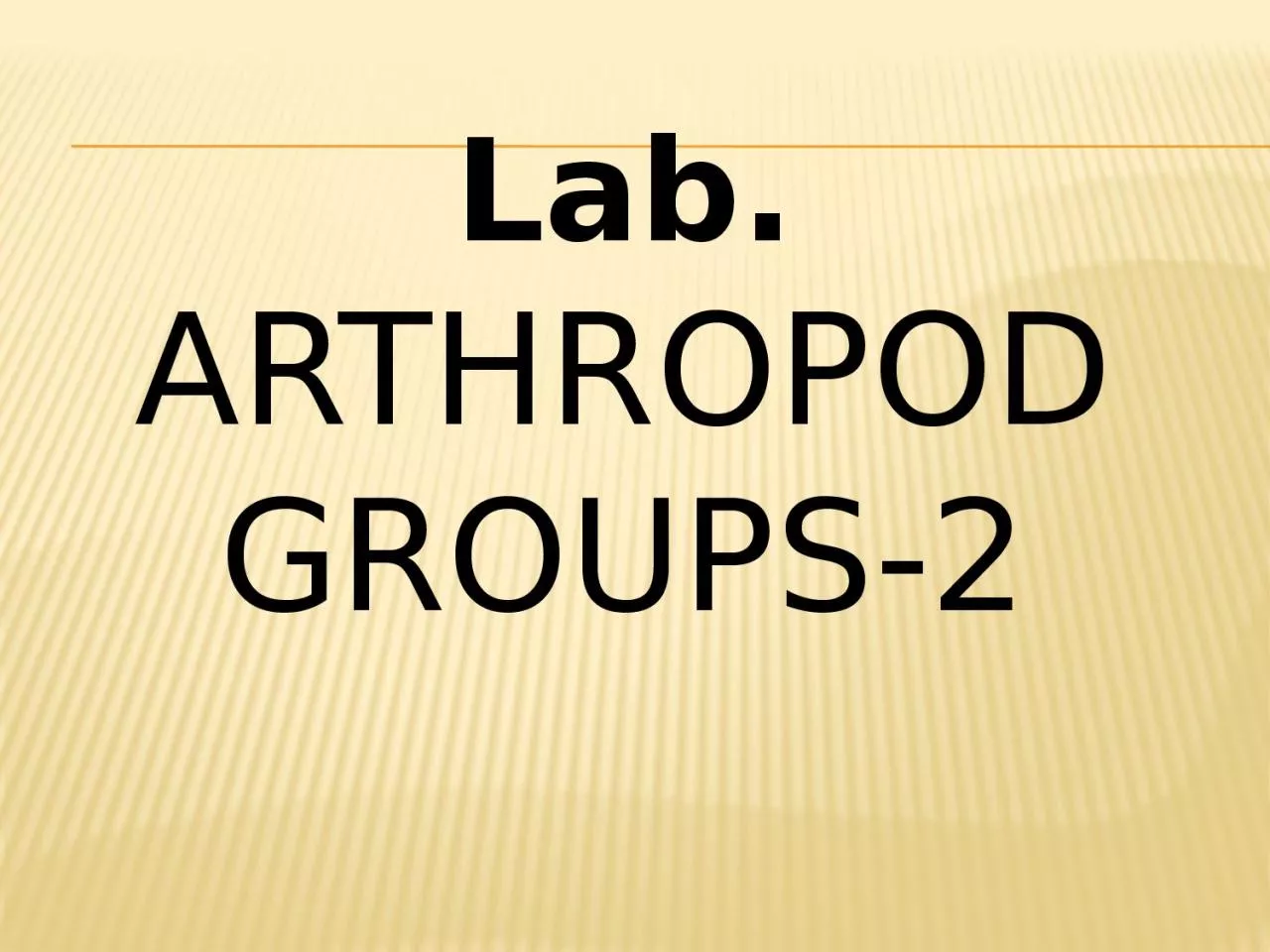 PPT-Lab. Arthropod groups-2