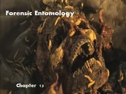 Chapter 13 Forensic Entomology