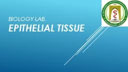 Biology lab. Epithelial tissue