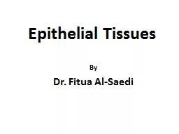 Epithelial Tissues By Dr.