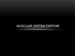 Muscular System Exercise