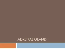 Adrenal gland Cushing's syndrome