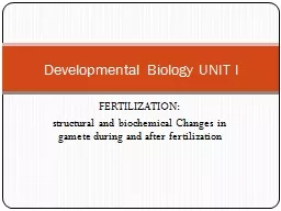 PPT-FERTILIZATION: structural and biochemical Changes in gamete during and after fertilization