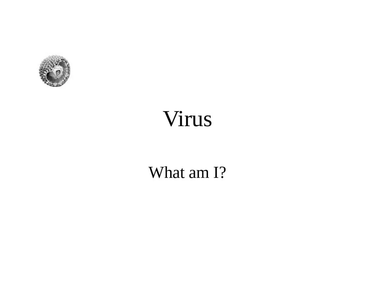 Virus What am I? Virus What am I?