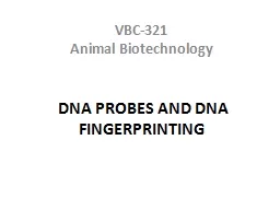 DNA PROBES AND DNA FINGERPRINTING