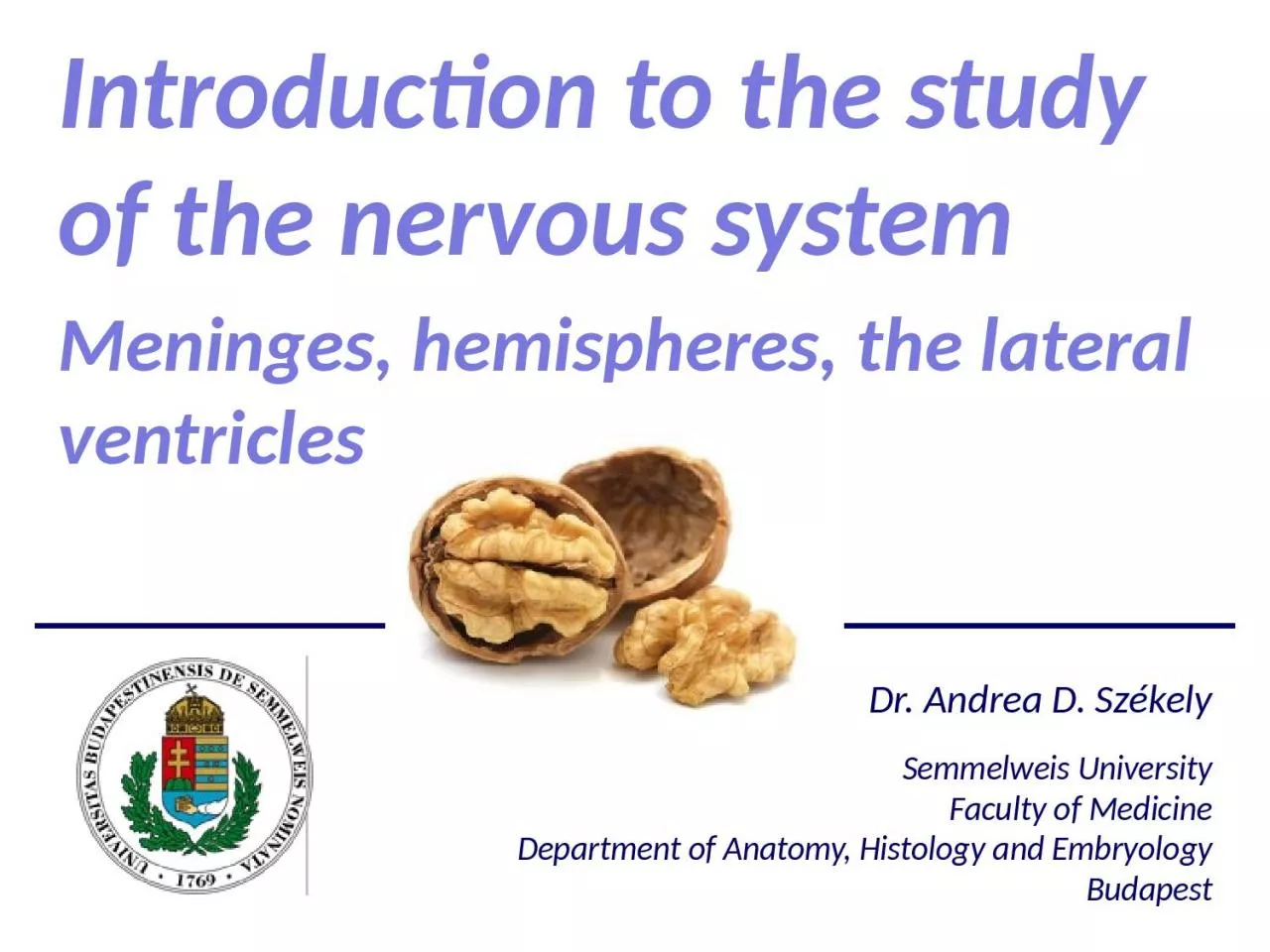 PPT-Introduction to the study of the nervous system