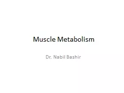 Muscle Metabolism Dr. Nabil Bashir