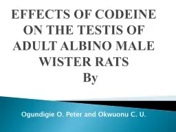 EFFECTS OF  CODEINE ON  THE TESTIS
