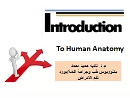 To Human Anatomy م.د. نادية حميد محمد