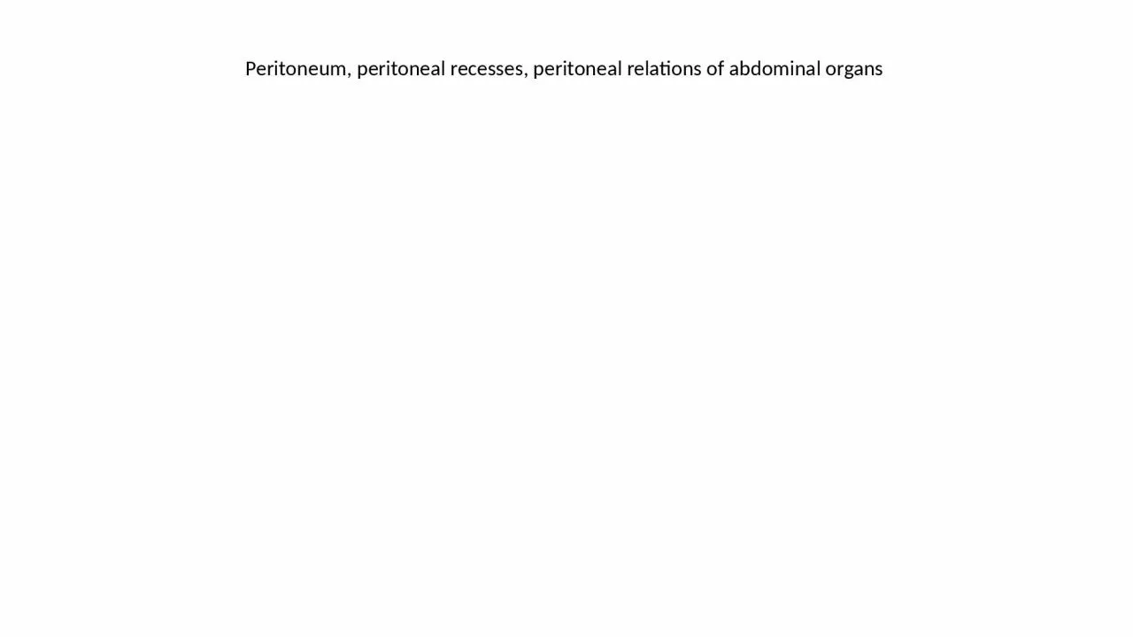 Peritoneum, peritoneal recesses, peritoneal relations of abdominal organs